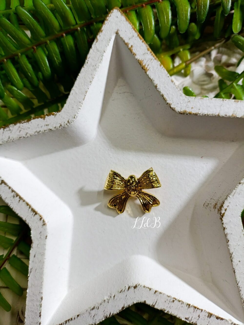 Broche Lacito