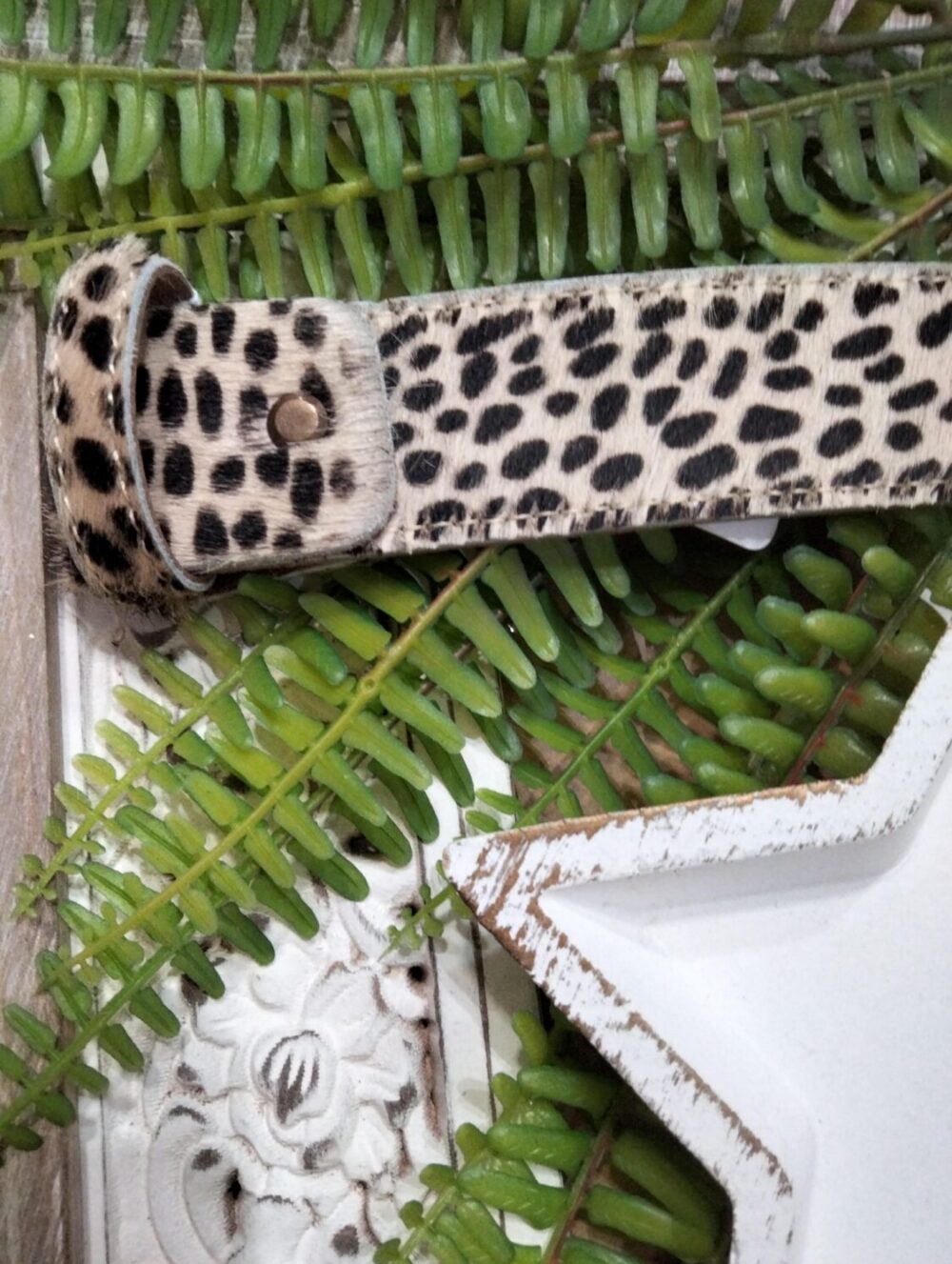 Cinturón Pelo sin hebilla Avestruz