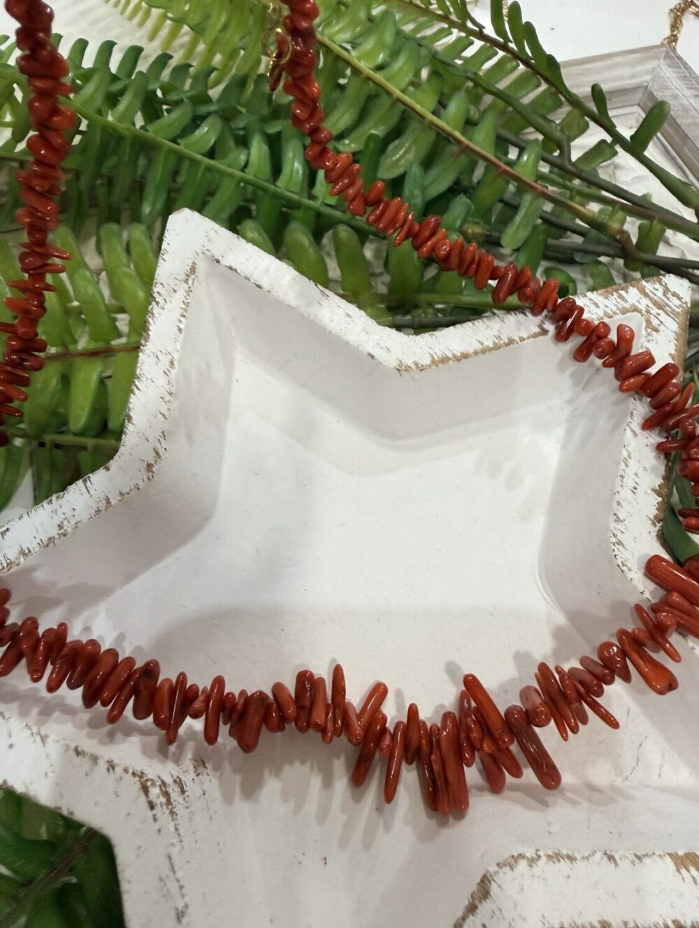 Alternative view of Collar Arrecife Coral